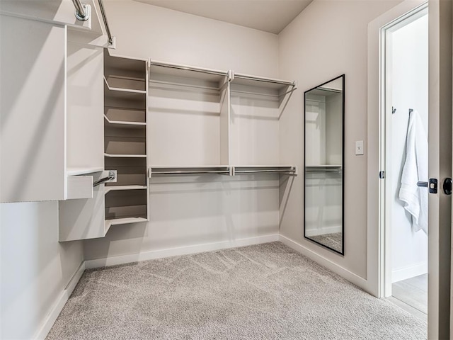 walk in closet with light colored carpet