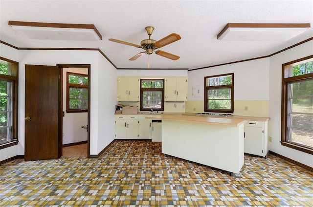 kitchen with crown molding, sink, and a textured ceiling