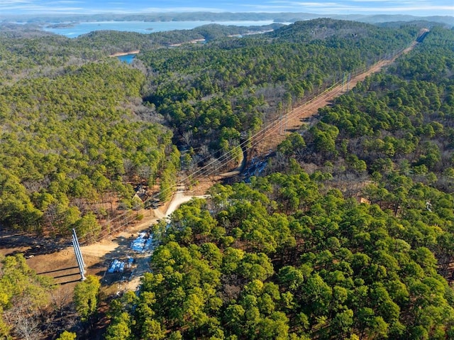 drone / aerial view featuring a mountain view