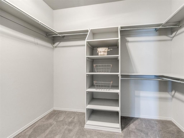 walk in closet with carpet