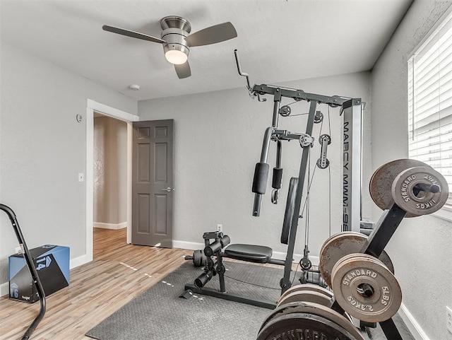 exercise area featuring ceiling fan and light hardwood / wood-style flooring