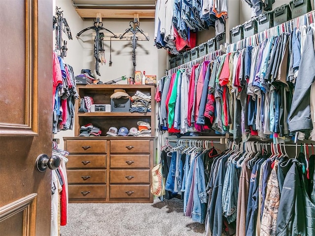 walk in closet with carpet flooring