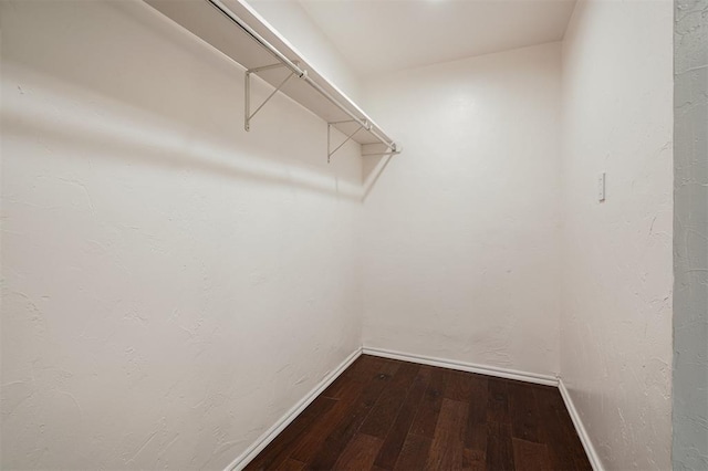 spacious closet featuring wood-type flooring