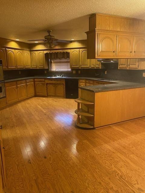 kitchen featuring ceiling fan, light wood-type flooring, sink, and a textured ceiling