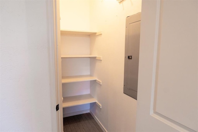 closet featuring electric panel