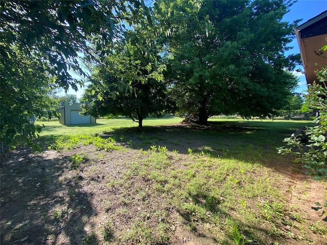 view of grassy yard with an outbuilding