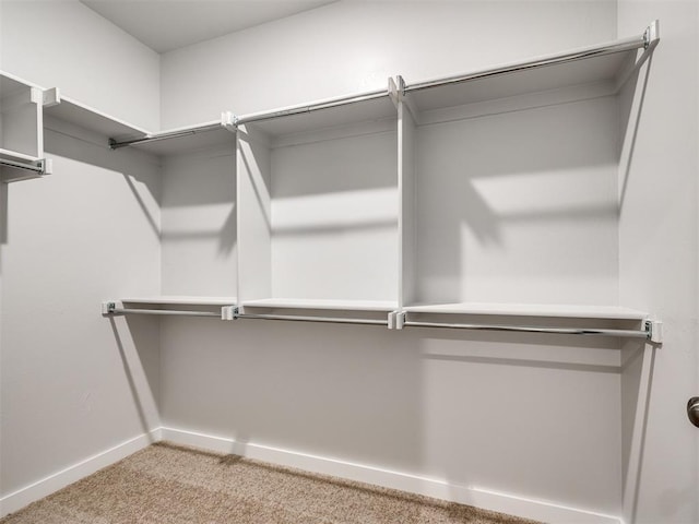 spacious closet featuring carpet flooring