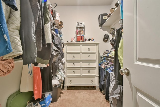 spacious closet with light colored carpet