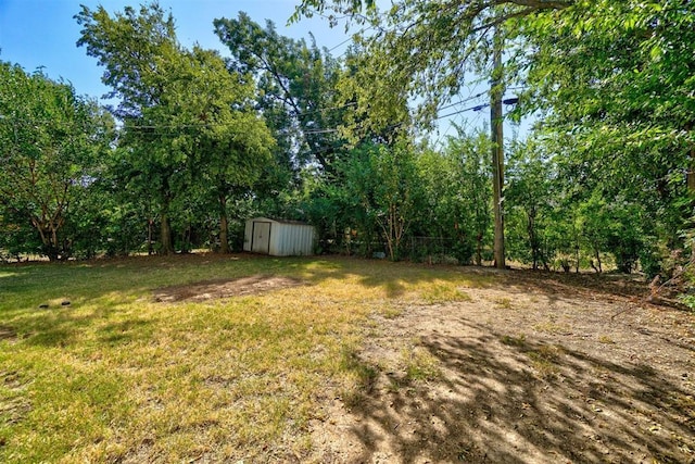 view of yard with a shed