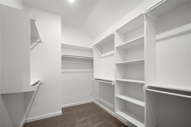 4813 Mistywood Ln, Mustang, OK 73064 - spacious closet with dark carpet