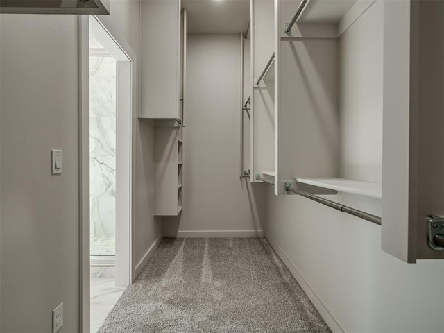 spacious closet with light colored carpet