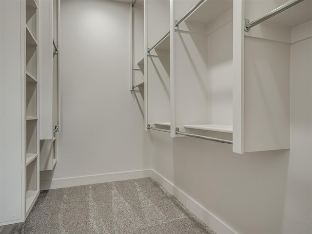 spacious closet featuring carpet