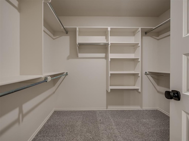 spacious closet featuring carpet flooring