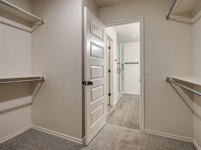 walk in closet with light colored carpet