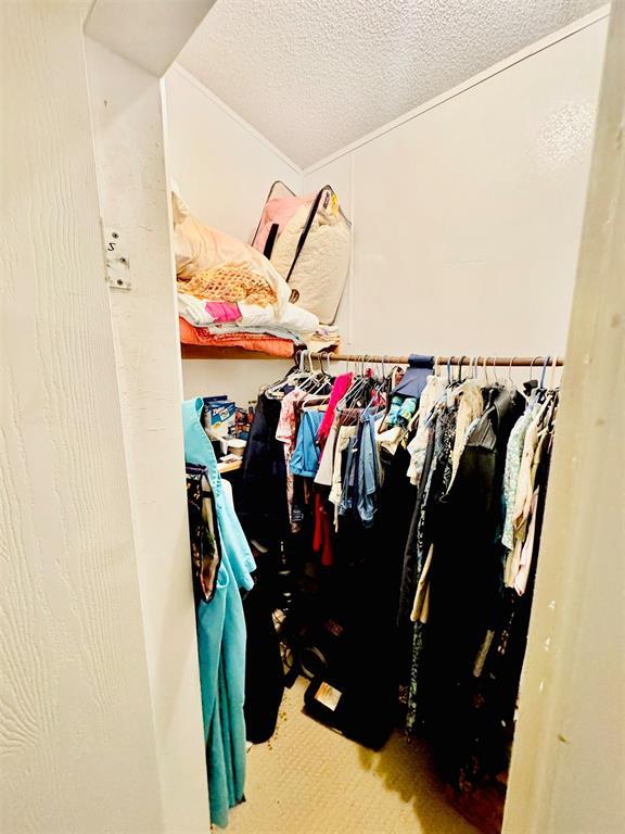 spacious closet featuring carpet flooring