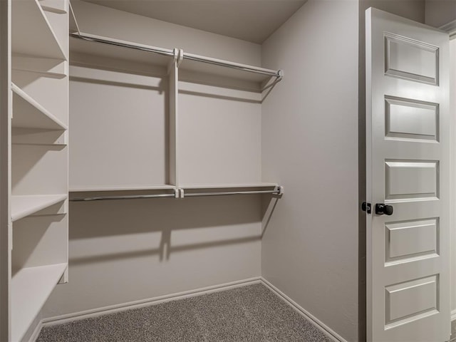 spacious closet with carpet floors