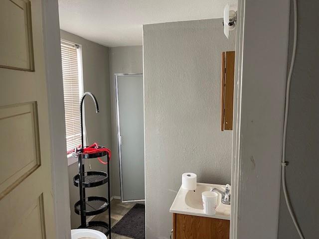 bathroom featuring vanity, plenty of natural light, and an enclosed shower