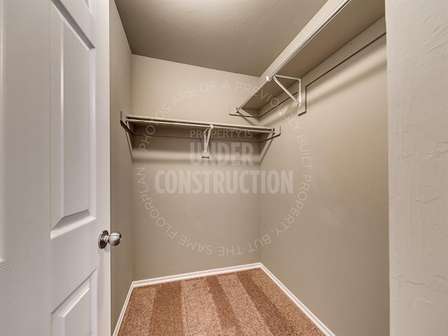 spacious closet featuring carpet floors