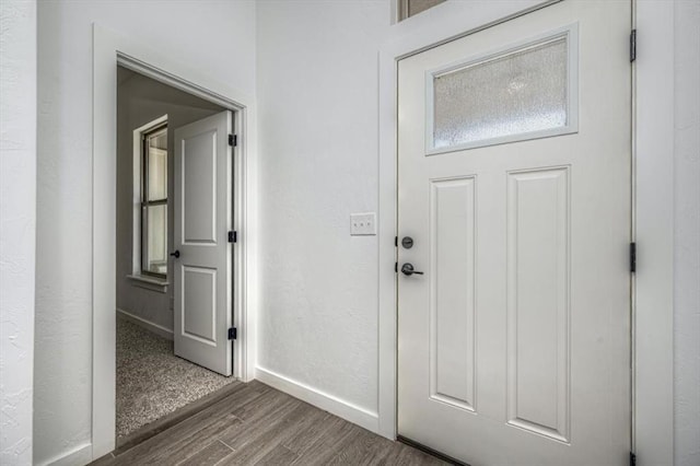 entrance foyer featuring dark wood-type flooring