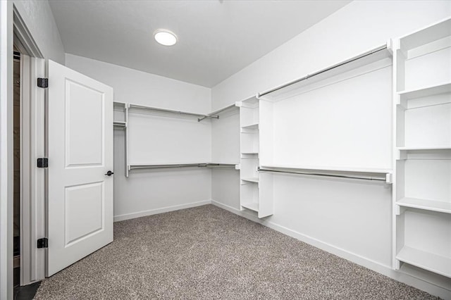 spacious closet with carpet flooring