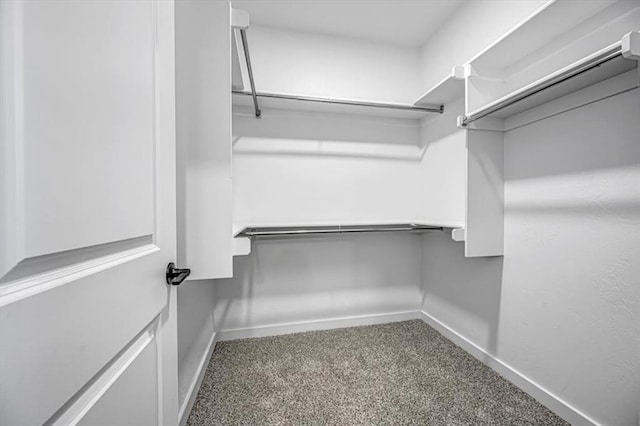 spacious closet featuring carpet floors