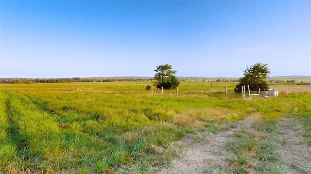 view of local wilderness with a rural view