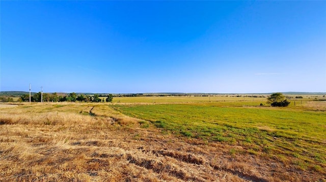 view of yard featuring a rural view