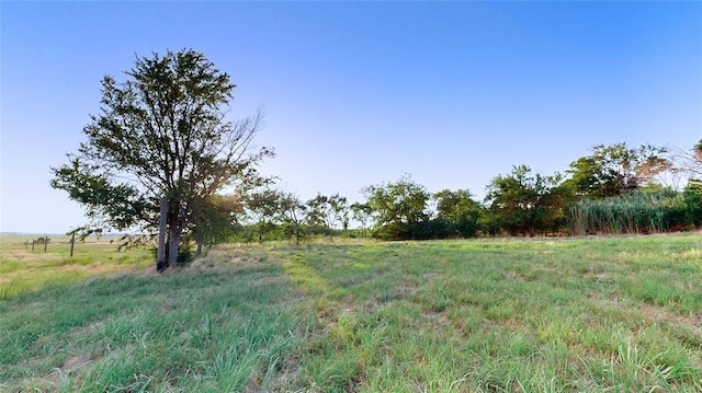 view of yard with a rural view