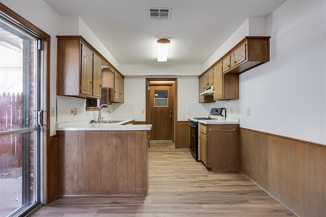 kitchen featuring a wainscoted wall, visible vents, a sink, light countertops, and range with gas cooktop