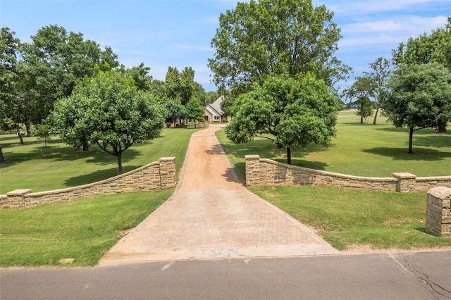 view of community with a yard