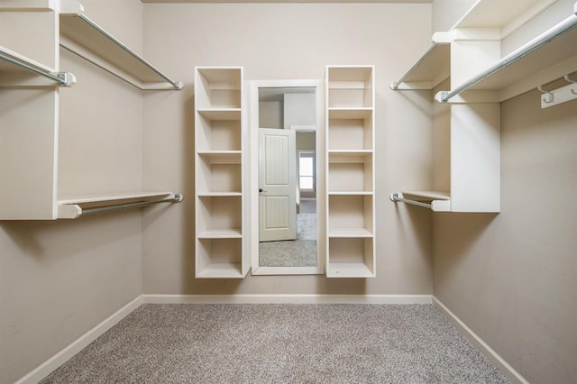 walk in closet with carpet flooring