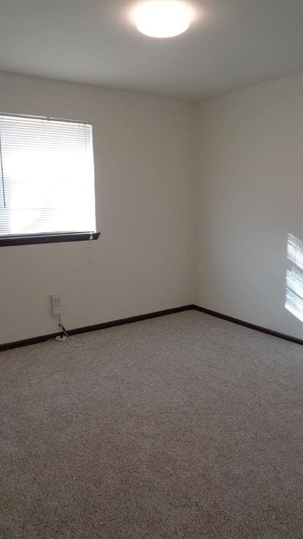 spare room with carpet