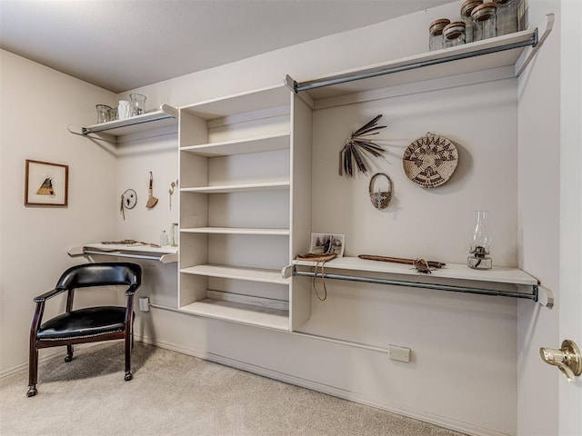 spacious closet with light carpet