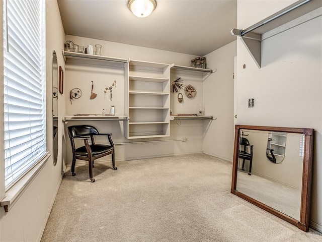 spacious closet with carpet floors