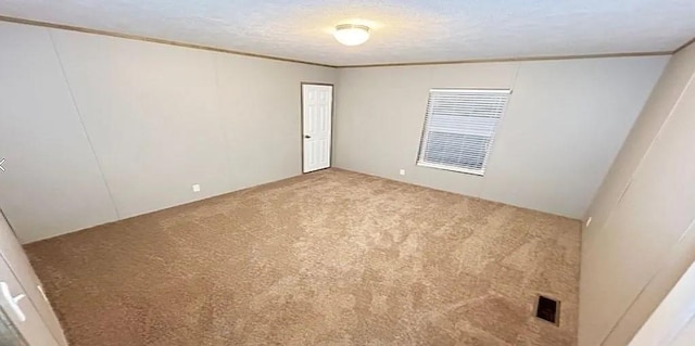 carpeted spare room featuring ornamental molding and a textured ceiling