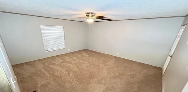 spare room with ceiling fan and carpet