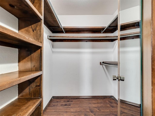 spacious closet featuring dark hardwood / wood-style floors