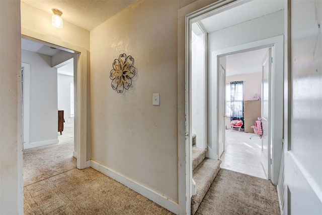 hallway featuring light colored carpet