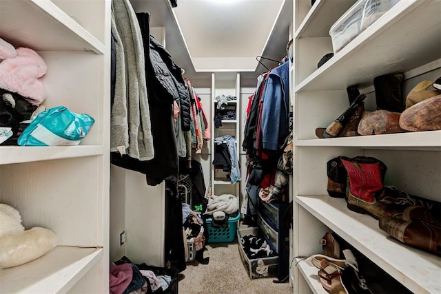 spacious closet featuring carpet