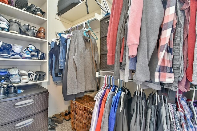 view of spacious closet