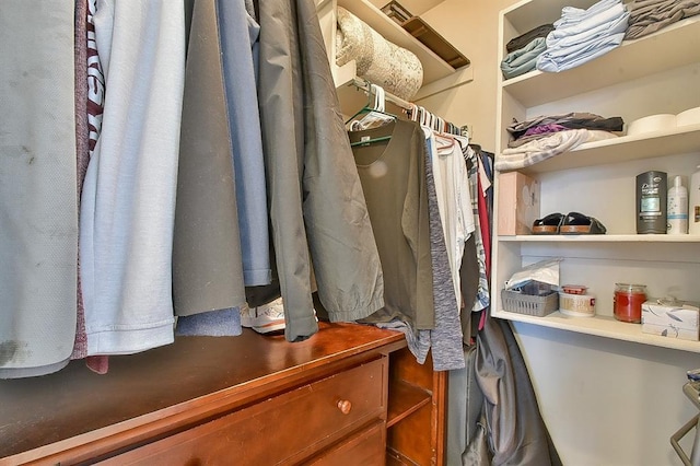 view of walk in closet