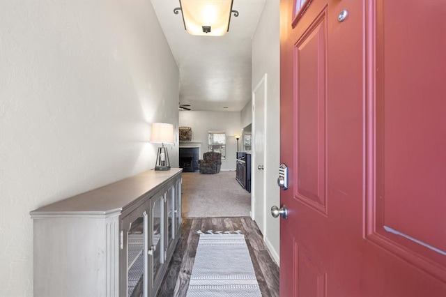 interior space with dark hardwood / wood-style floors