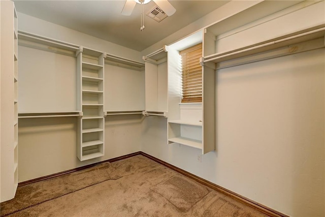 walk in closet with ceiling fan and carpet flooring