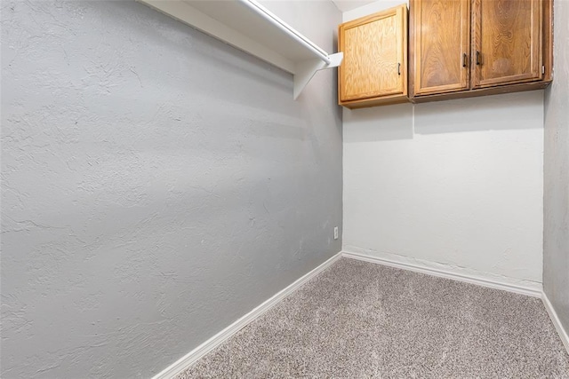 spacious closet with carpet