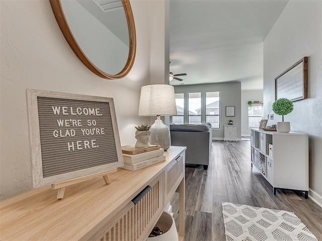 hallway with dark hardwood / wood-style floors