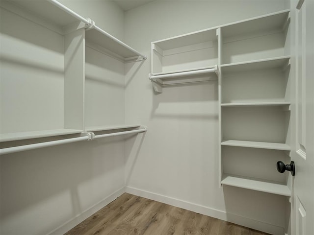 spacious closet featuring wood finished floors