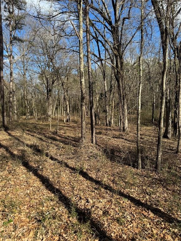 Fannie Mae Dr, Broken Bow, OK 74728 - photo 1
