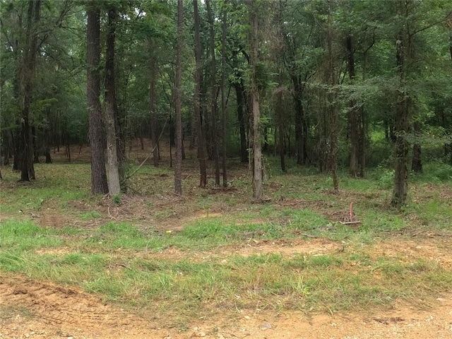 Fannie Mae Dr, Broken Bow, OK 74728 - photo 3