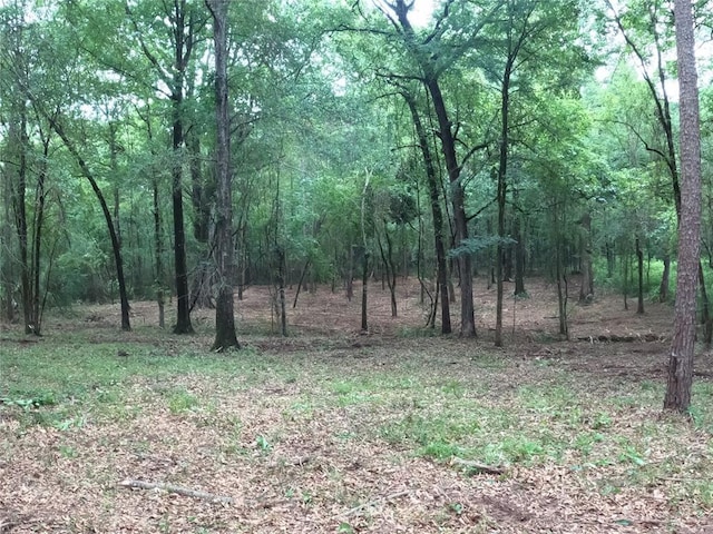 Fannie Mae Dr, Broken Bow, OK 74728 - photo 4