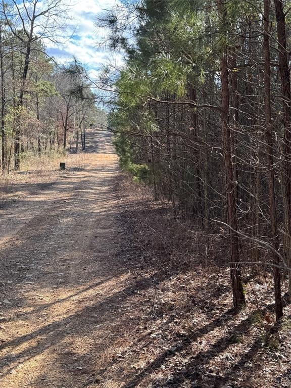 Fannie Mae Dr, Broken Bow OK, 74728 land for sale